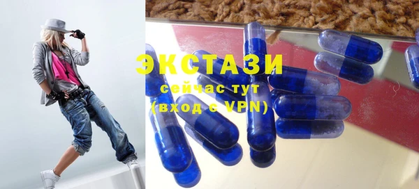 индика Алзамай