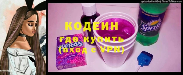 индика Алзамай