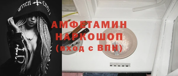 индика Алзамай