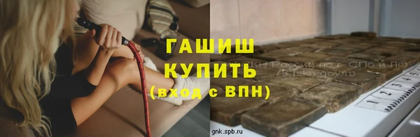 индика Алзамай