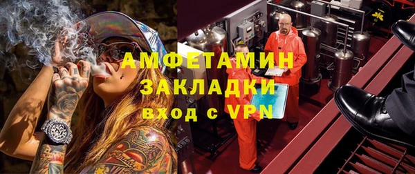 индика Алзамай