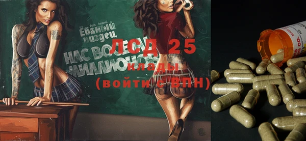 индика Алзамай