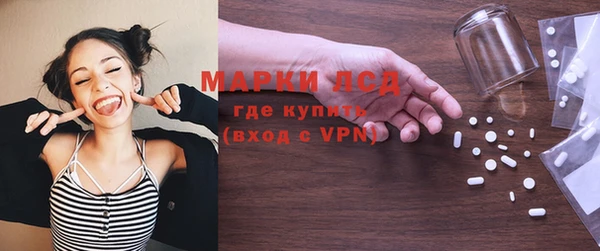 индика Алзамай